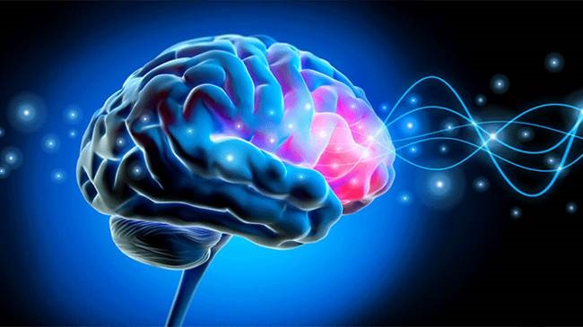 دستاورد بزرگ پزشکی: درمان قطعی پارکینسون و صرع با فناوری ایرانی تا ۱۴۰۵