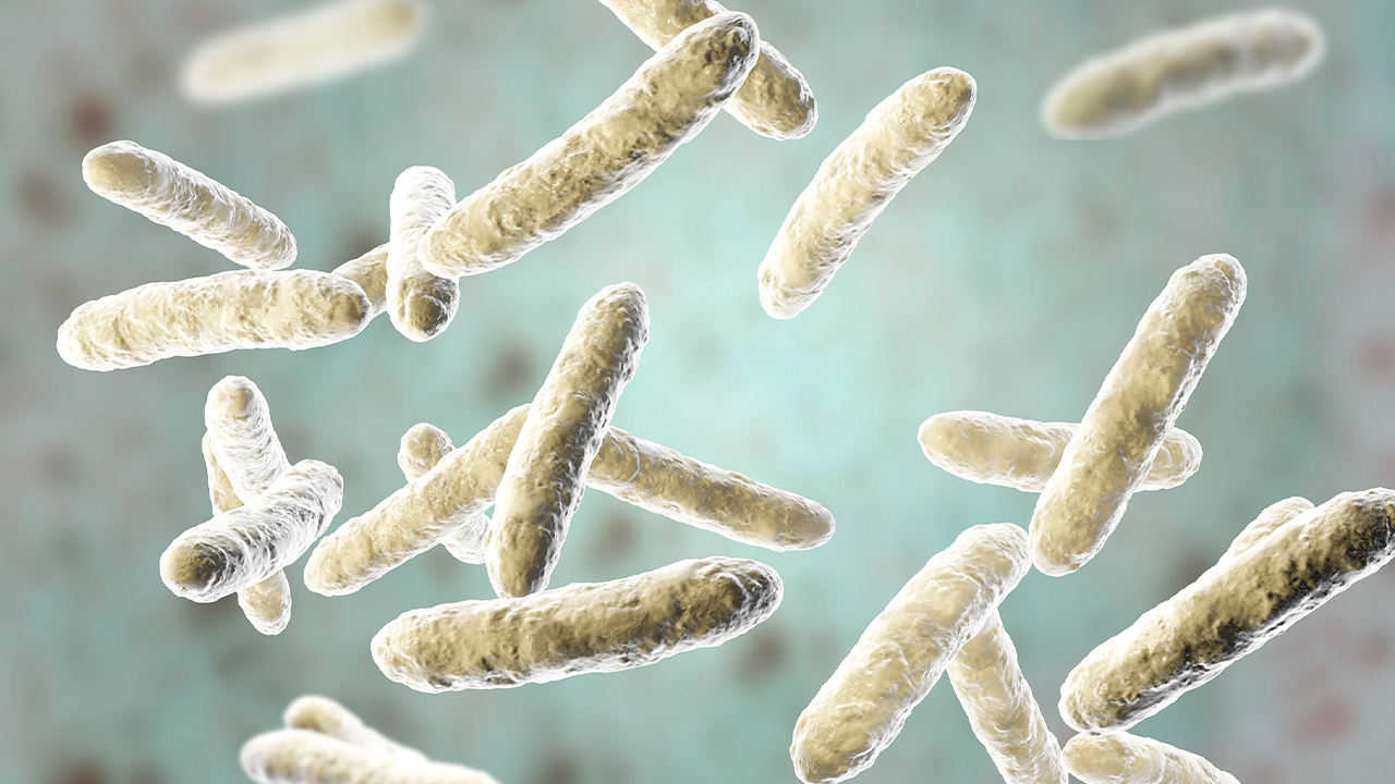 نانوذرات طلا و DNA، سویه‌های خطرناک باکتری استاف را سریع شناسایی می‌کند